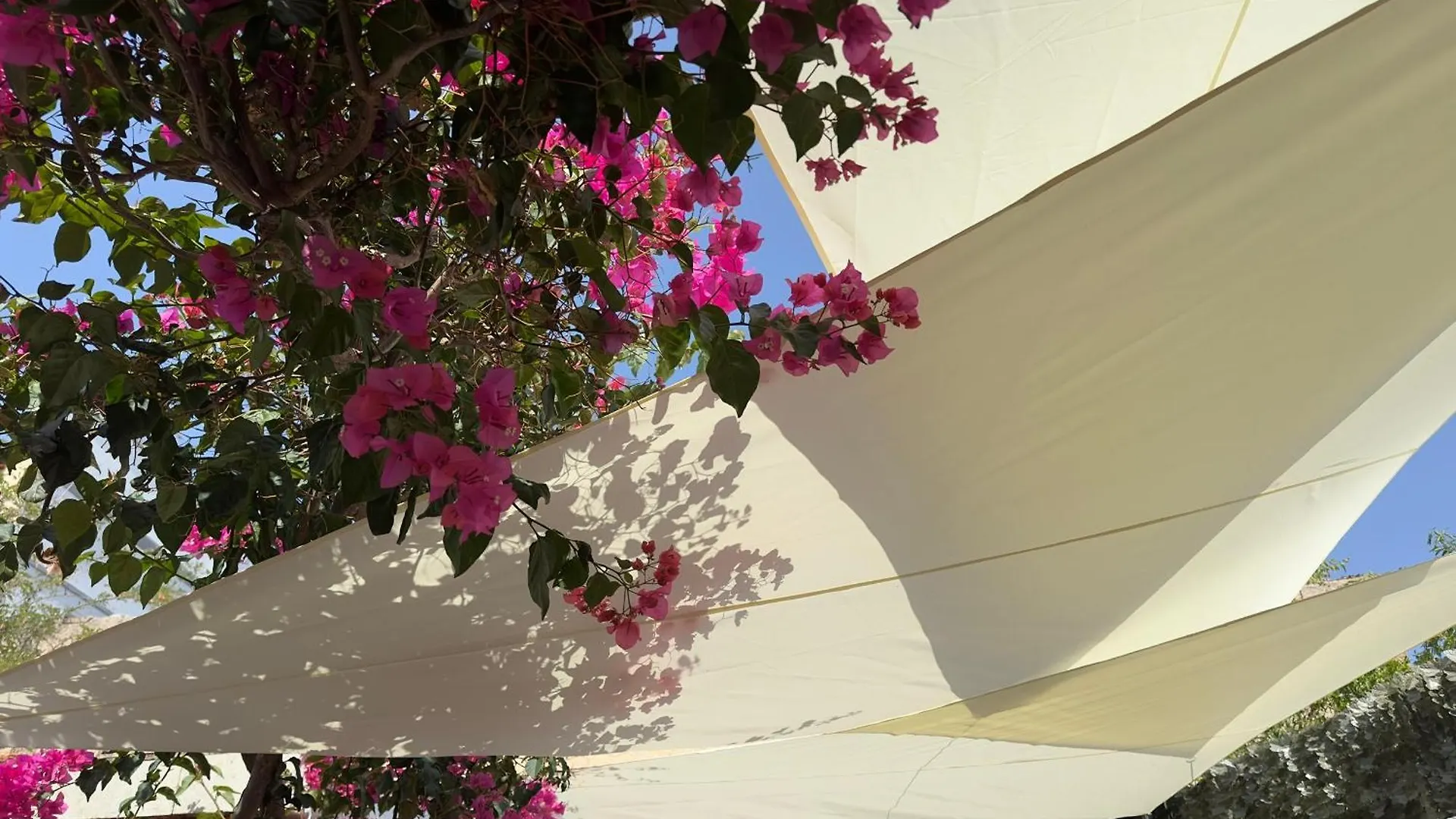 Maria House With Private Garden Apartment Olbia 0*,  Italy